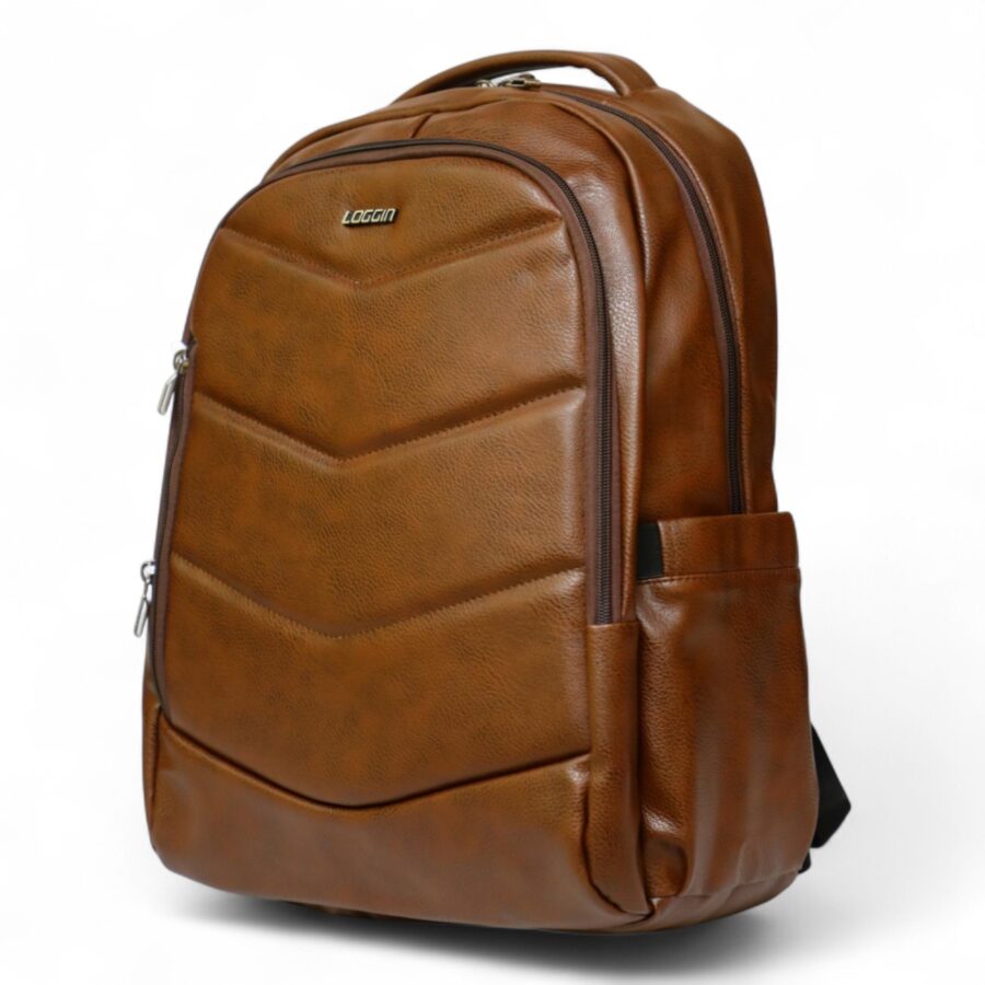 Professional corporate backpack